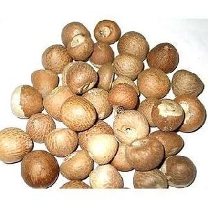 natural areca nuts and betel nuts
