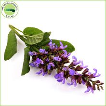 Natural Clary Sage Oil