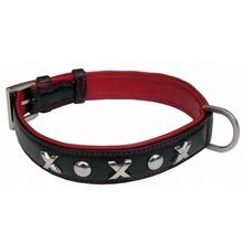 Smooth dog collar and clip