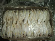 Frozen Katti Fish