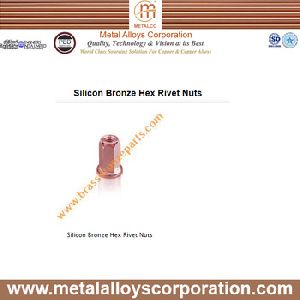 Silicon Bronze Hex Rivet Nut