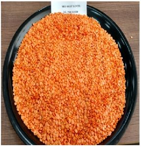 red split lentil