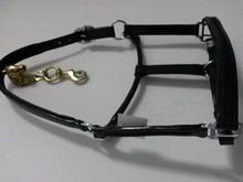 EMPTY CHANNEL HORSE HALTERS