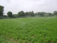 Full Circle Sprinkler Irrigation System