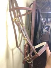 Endurance Leather Bridle Halter