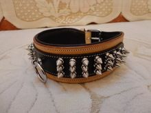Spiked Leather Dog Collars