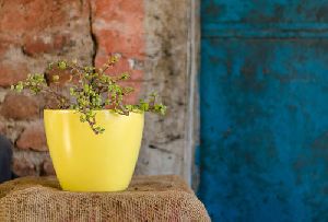 Hummingbird Flower Pot