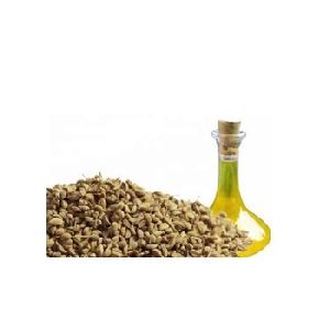 Ajwain Seed Oil