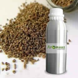 Celery Seed Oil