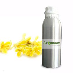 Osmanthus Floral Absolute