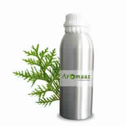 Thuja Essential oil