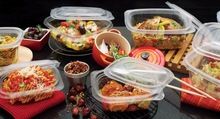 Hot/Cold Multipurpose Containers and Lid