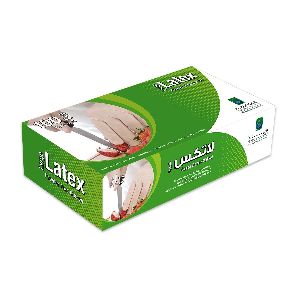 Powder Free Disposable Latex Gloves - Large