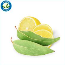 lemon eucalyptus oil