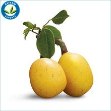 Marula Essential Oil