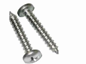 Pan Head Screw