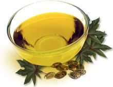 Castor oil and sebacic acid