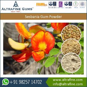 Food Additive Sesbania Gum Powder
