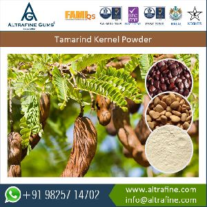 tamarind seed powder