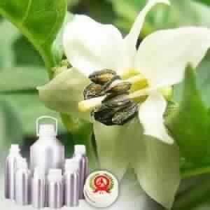 Chillies Oil