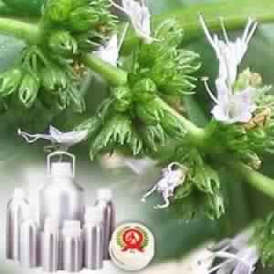 spearmint oil