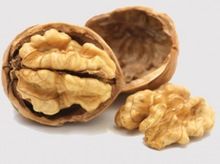 walnut