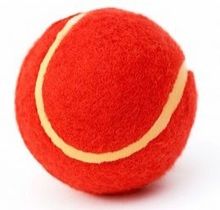 Red Cricket Ball