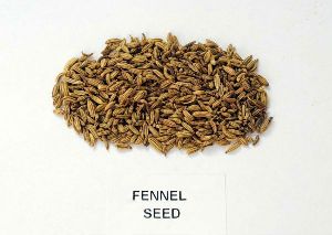Organic Sweet Fennel Seed