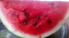 Fresh Juicy Watermelon