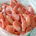 Seafood Fresh Frozen Red Shrimps