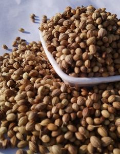 Badami Coriander Seeds