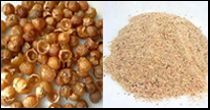 Soapnut Powder