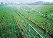 Drip Irrigation System