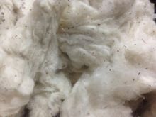 High Quality Cotton Flat Strip