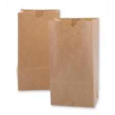 Handleless Brown Paper Grocery Bag