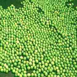 Green Mung Beans / Green Gram /Moong Dal / Vigna Beans (Red Ruby)