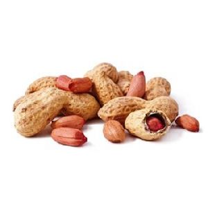 peanuts prices 1kg raw blanched price roasted peanut blanched peanuts price