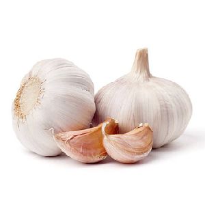 Fresh natural pure white garlic