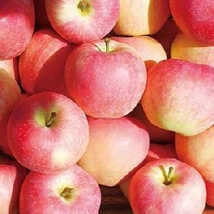 Grade A 100% Organic Fresh Apple Fruits/Fresh Fuji Apples/Fresh Apples for sale