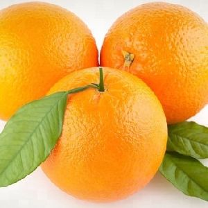 Sweet Valencia Fresh Oranges