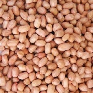 Peanuts, Blanched Peanut at Whole Sale Price