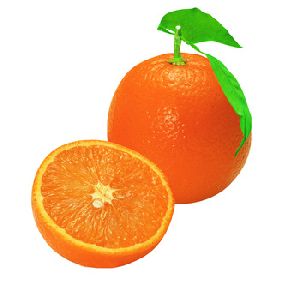 Premium fresh navel oranges