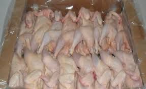 Pet and Farming Animals