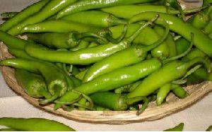 fresh green chilli