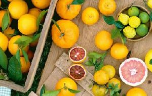 Citrus Fruit