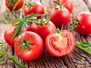 fresh tomato