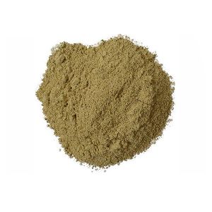 Organic Bhumi Amla Extract Powder