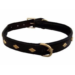 Brass Buckle Leather Dog Collar