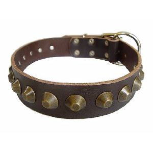 Brown Leather Dog Collar with Nickel Stud