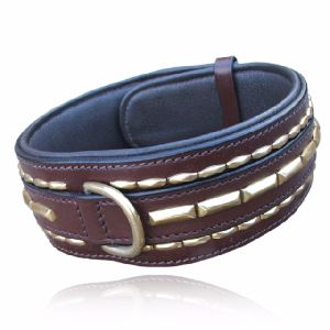 Leather Dog Collar Personalized Brass Plates